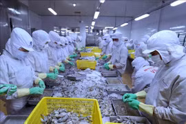  越南对以色列保持贸易顺差地位