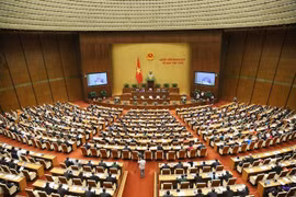 越南第十四届国会第八次会议：分组讨论四部法案