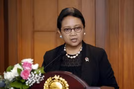 越南出席亚洲国际法发展会议