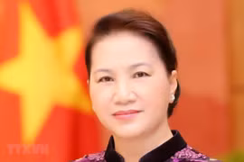 阮氏金银访俄：促进越南与俄罗斯全面战略伙伴关系