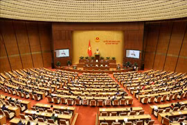 越南第十四届国会第八次会议通过《劳动法（修正案）》