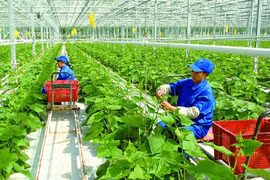 广义省批准43个农业投资项目