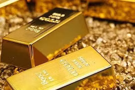 8月5日越南黄金价格超过4000万越盾