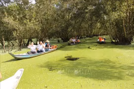 2019年安江省接待游客量可达920万人次