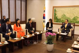 越南祖国阵线高级代表团对韩国进行工作访问