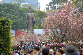 第五届河内日本樱花节将于2020年3月举行