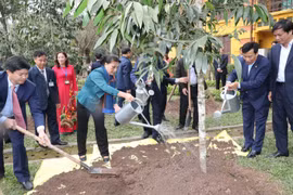 国会主席阮氏金银在胡志明主席遗迹区植树留念