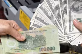 2月13日越盾兑美元中心汇率上涨10越盾