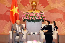 阮氏金银：越南一直以来是古巴的好同志、好朋友和好兄弟