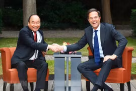 着力将越南与荷兰两国关系向纵深推进