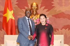  越南国会主席阮氏金银会见世行驻越首席代表奥斯曼•迪奥