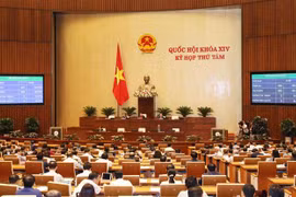 越南第十四届国会第八次会议通过关于2020年经济社会发展计划的决议