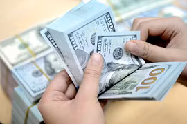31日越盾兑美元中心汇率保持稳定