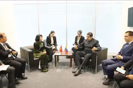 第18届不结盟运动峰会：邓氏玉盛会见各国领导