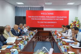 比利时议会代表团和比利时驻越大使对芹苴市进行工作访问