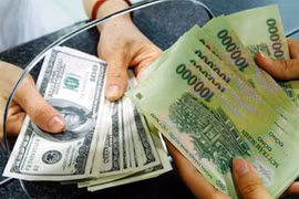 6月13日越盾兑美元中心汇率上涨4越盾
