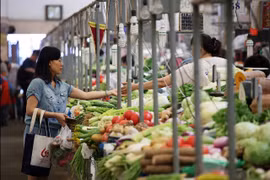 2019年1月越南居民消费价格指数环比略增