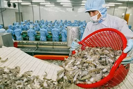 越南虾类对美国出口有望提升