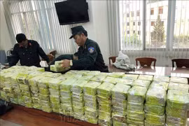 公安部对特大跨境贩运毒品近600公斤案件作出起诉决定