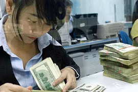 5月22日越盾兑美元中心汇率下降3越盾