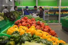 越南蔬果对中国的出口额大幅下降