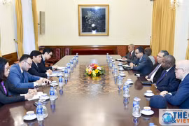 越南外交部副部长阮国强会见非洲各国驻越大使