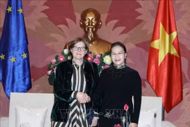 国会主席阮氏金银会见欧洲议会副议长海蒂