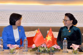 越南国会主席阮氏金银会见中国全国人大常委会副委员长沈跃跃