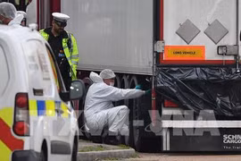 英国39人死亡案：越英密切配合 及时处理善后事宜