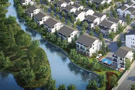 海阳省房地产吸引大量资金流入