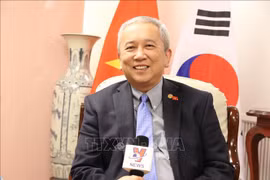 阮武秀大使：越韩关系呈现全面、强劲发展势头