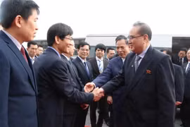 朝鲜劳动党高级代表团访问海阳省