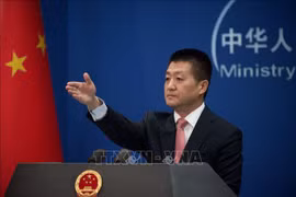 美朝领导人河内会晤：中方认为朝核问题的解决不是一朝一夕的