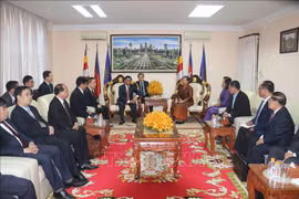 柬埔寨领导人会见越共中央检查委员会工作代表团