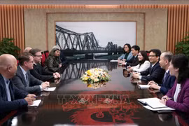 政府副总理武德儋：越南支持SOS儿童村采用家庭模式收养孤儿