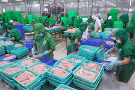 越南查鱼在进军国际市场的路上具有巨大优势