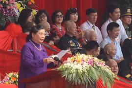 奠边省隆重举行奠边府大捷65周年庆典