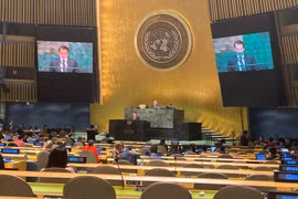 越南出席联合国关于大洋和海洋法的会议