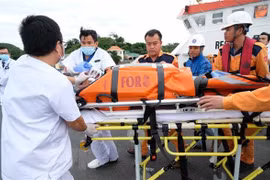 越南：及时营救在海上昏迷和遇险的印度籍船员和德国籍公民