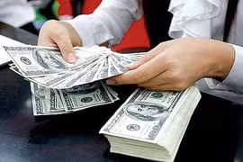 2019年前8月胡志明市侨汇收入达34.5亿美元