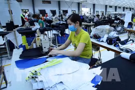 越南纺织服装集团在加拿大进行贸易促进活动