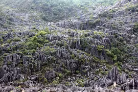 郑廷勇批准制定同文岩石高原全球地质公园总体规划调整方案