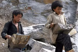 实现供应链透明化 迈向消除童工的目标