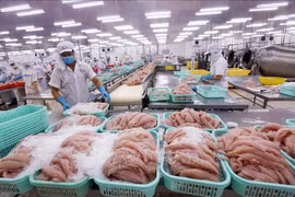 美国对越南查鱼产品第十五轮反倾销行政审查作出决定