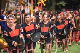 2019年越南各民族文化日正式开幕