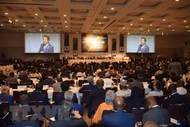 越南代表团出席第七届东京非洲发展国际会议