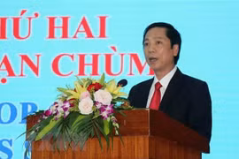 “集束炸弹探测方法”国际研讨会在广治省举行