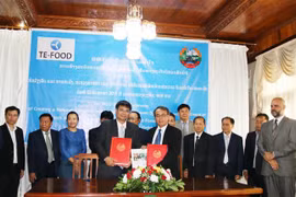 越南企业协助老挝建立动物疫病防治体系