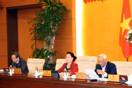 国会主席阮氏金银主持召开越南国会常务委员会第39次会议