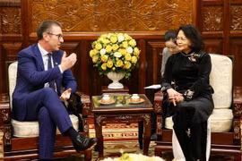 越南国家副主席会见爱尔兰全球风能与太阳能公司执行总裁
